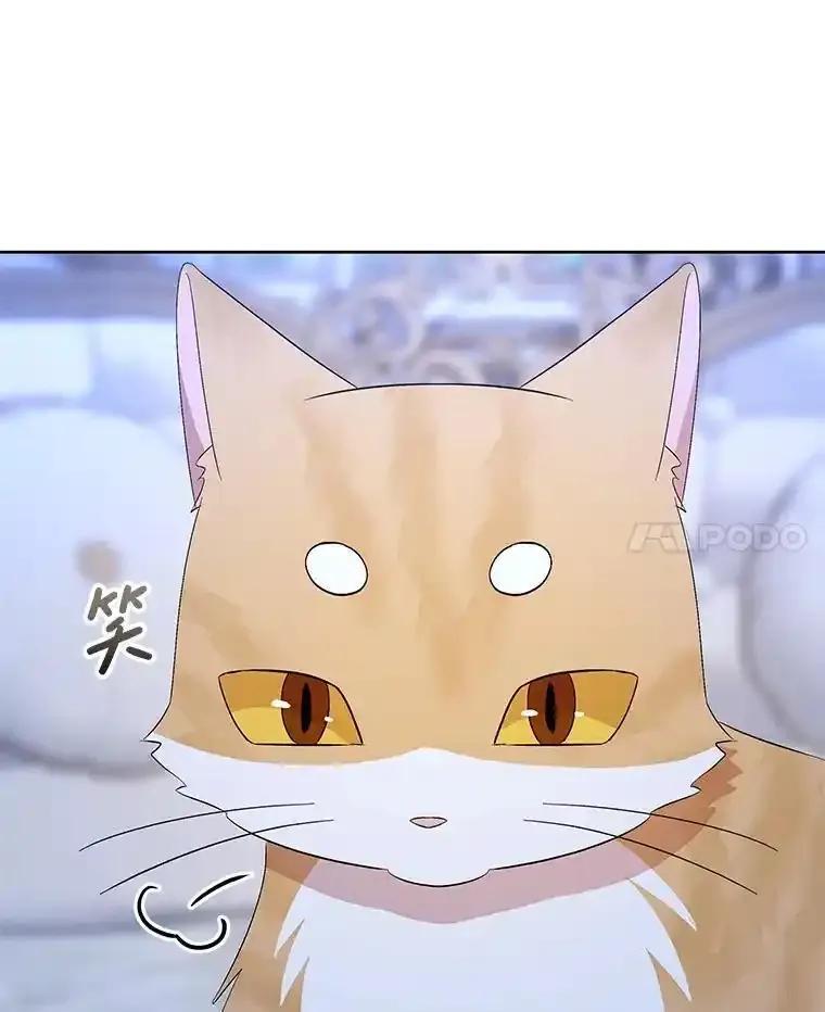 《小不点圣女大人》53.神谕？ 第107页