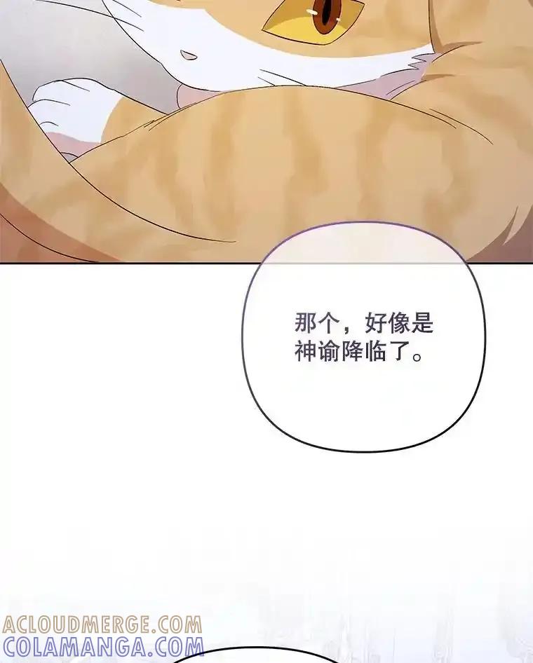 《小不点圣女大人》53.神谕？ 第57页