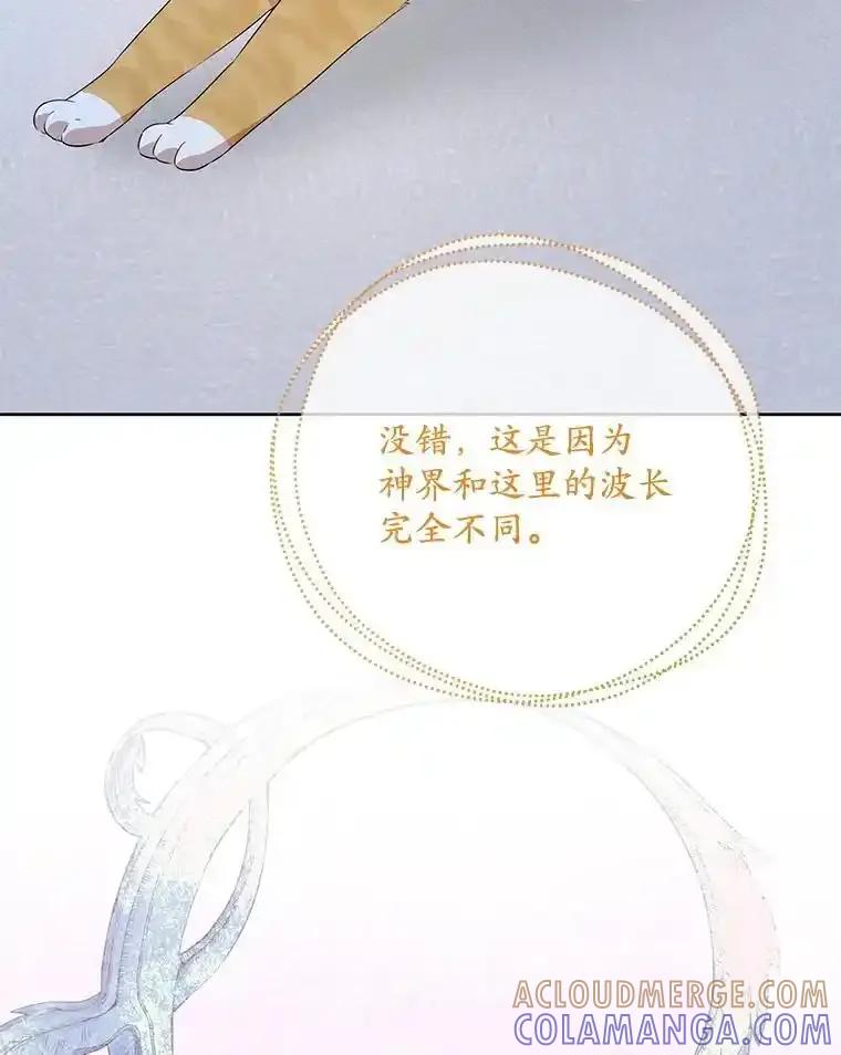 《小不点圣女大人》53.神谕？ 第81页