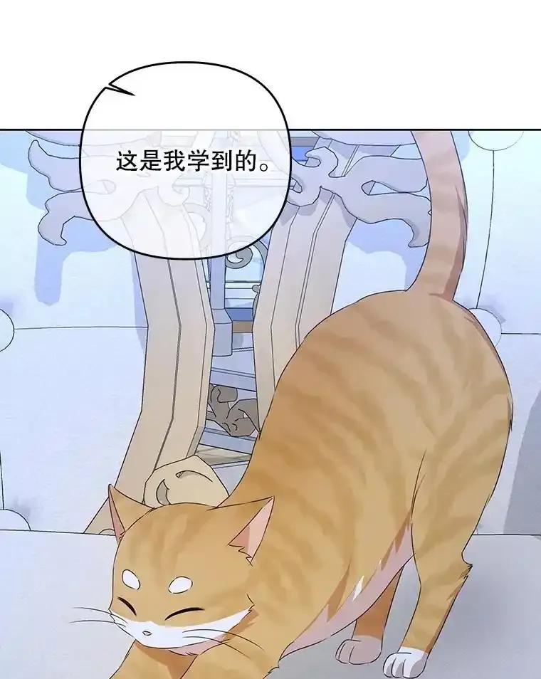 《小不点圣女大人》53.神谕？ 第80页