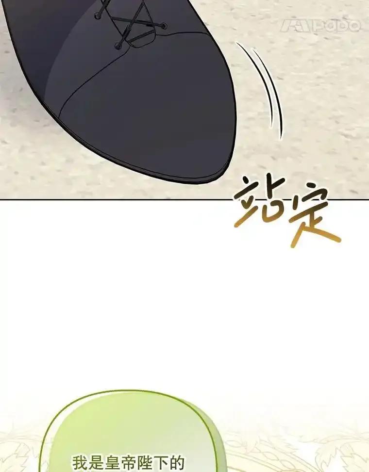 《小不点圣女大人》53.神谕？ 第134页