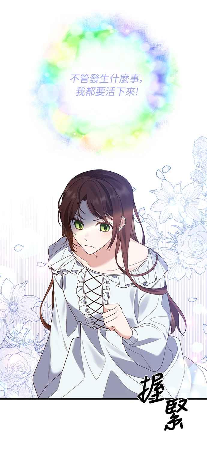 偏执男主的契约未婚妻 第11话 第14页