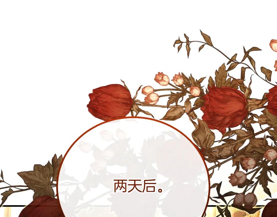 穿越成怪物太子的夫人 第25话 丈夫的两幅面孔 第232页