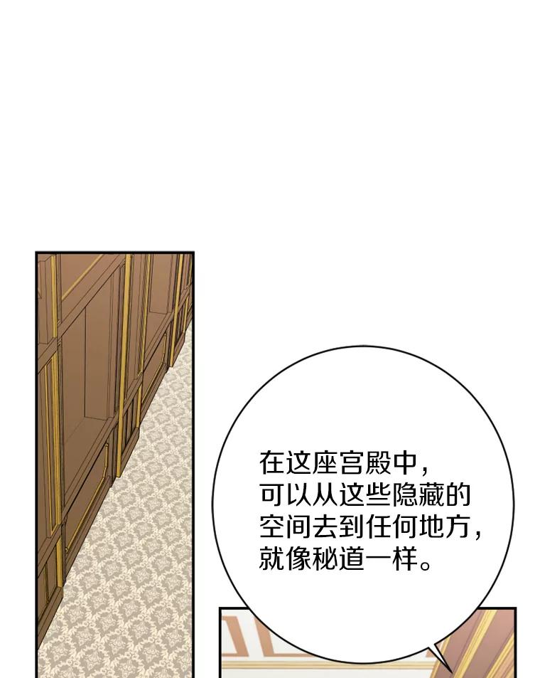 《白痴阿贝拉》19.秘道 第118页