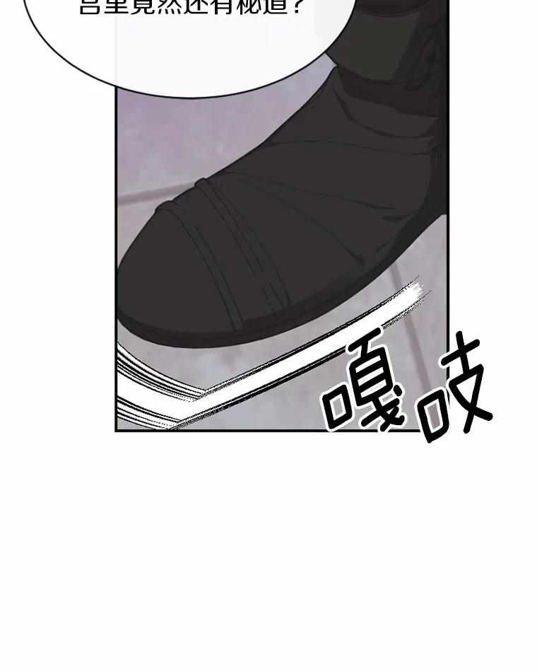 《白痴阿贝拉》25.杀人 第70页