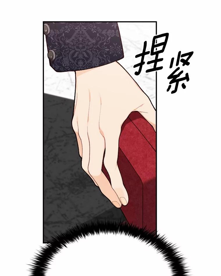 《白痴阿贝拉》27.掉包 第34页