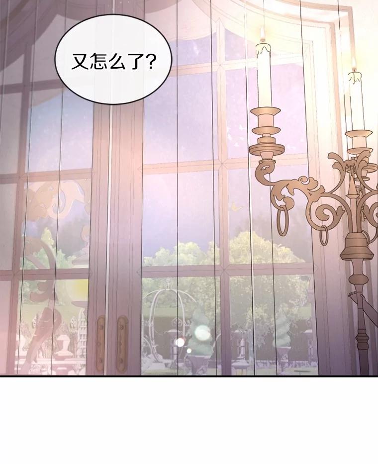 《白痴阿贝拉》31.喜欢 第31页