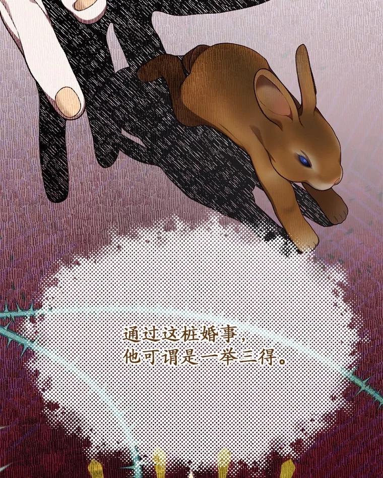 《白痴阿贝拉》31.喜欢 第38页