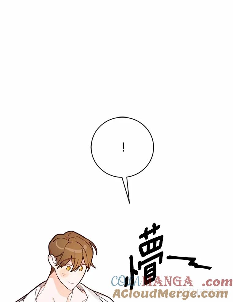 《白痴阿贝拉》31.喜欢 第85页
