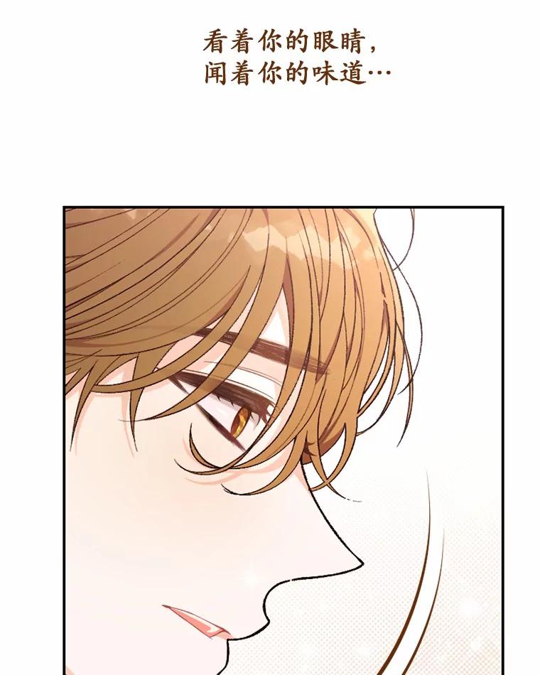 《白痴阿贝拉》31.喜欢 第102页