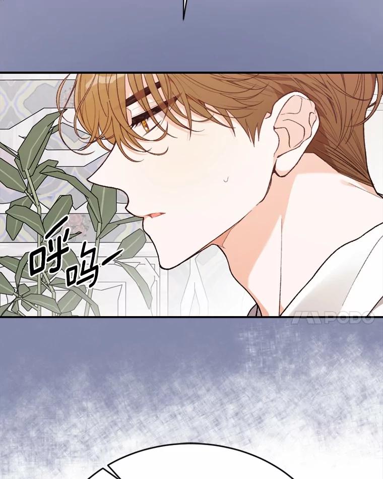 《白痴阿贝拉》32.下毒 第38页