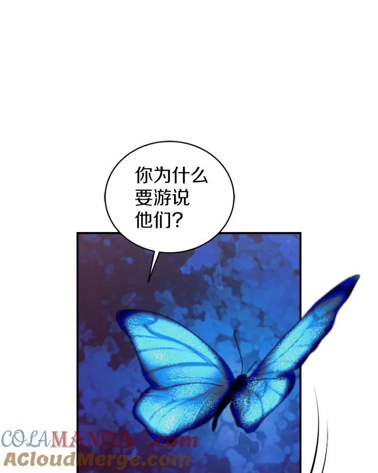 《白痴阿贝拉》33.备战 第45页