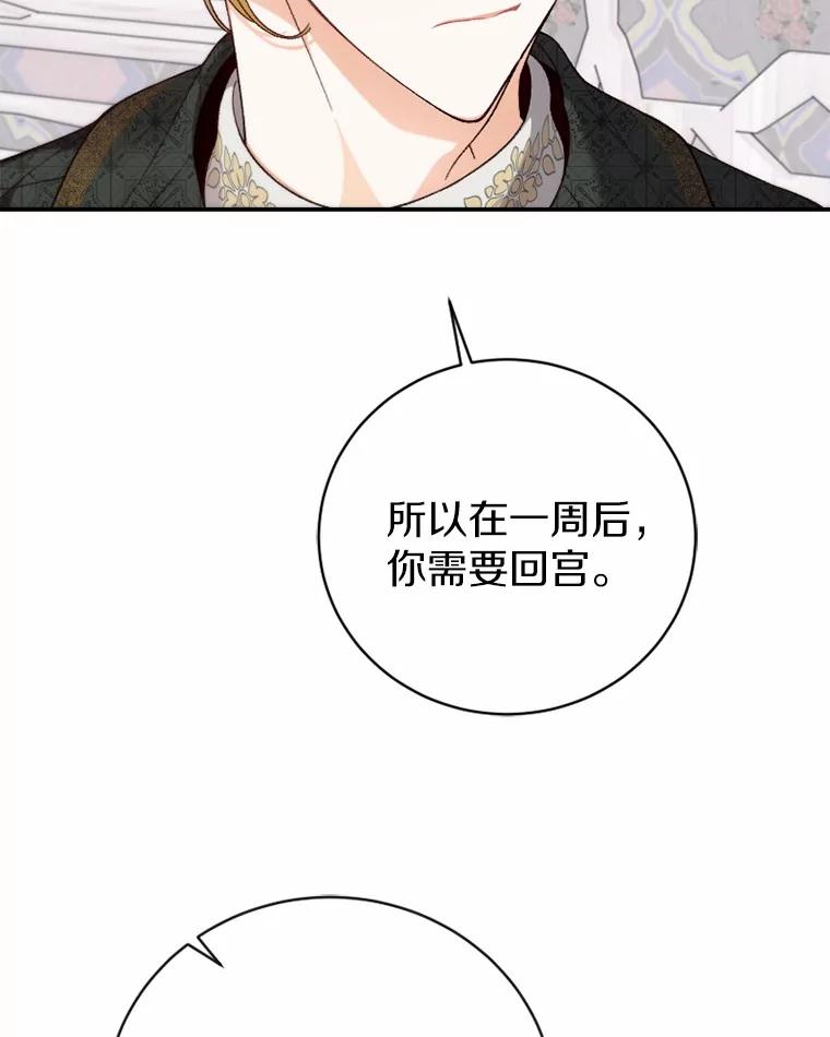 《白痴阿贝拉》33.备战 第6页