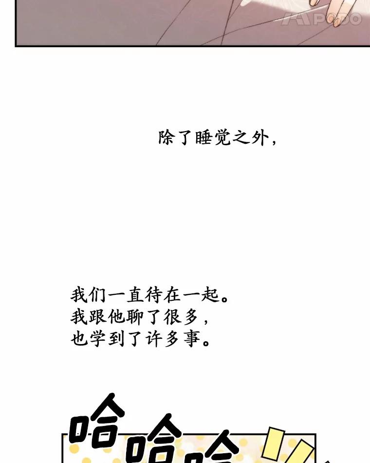 《白痴阿贝拉》34.回归 第92页