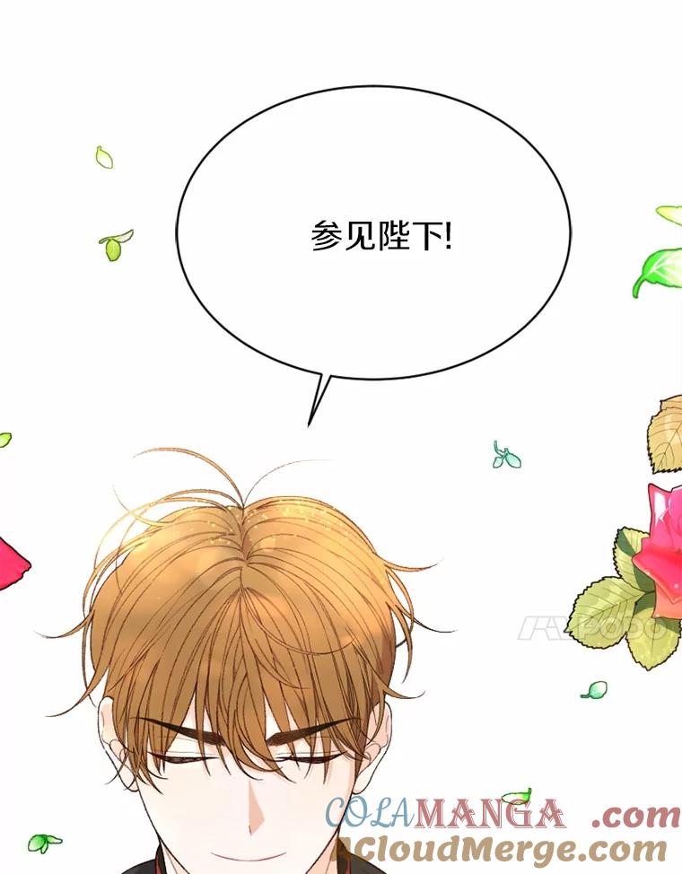 《白痴阿贝拉》34.回归 第41页