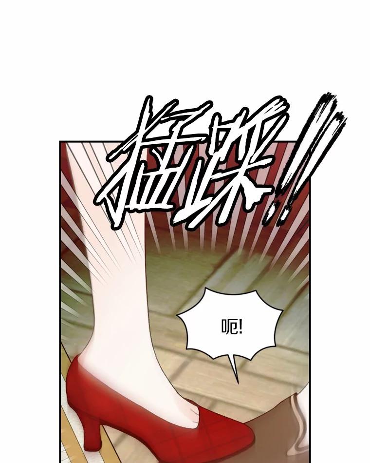 《白痴阿贝拉》34.回归 第84页