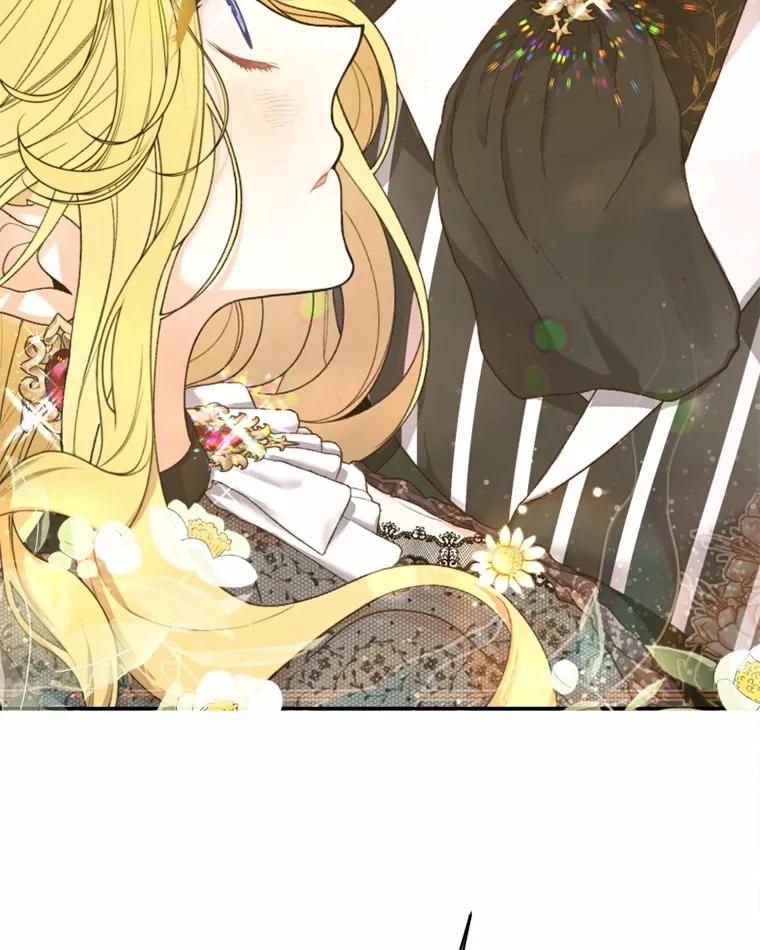 《白痴阿贝拉》35.绝杀 第15页