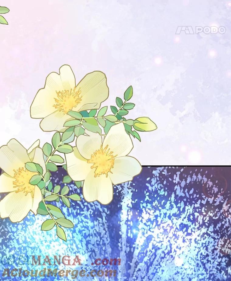 《白痴阿贝拉》37.坦白 第69页