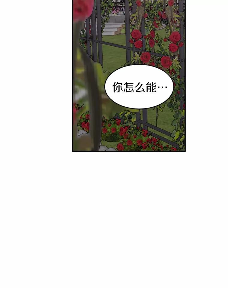 《白痴阿贝拉》37.坦白 第63页
