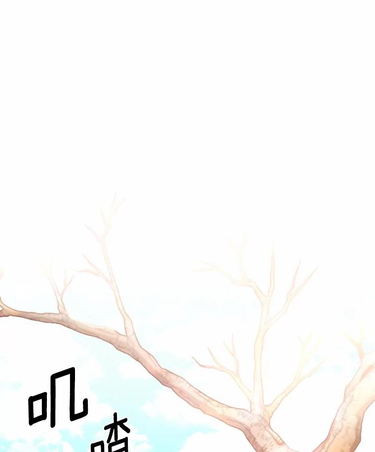 《白痴阿贝拉》38.惊艳 第3页