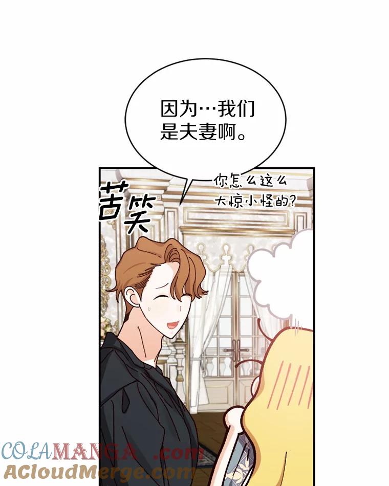 《白痴阿贝拉》38.惊艳 第17页