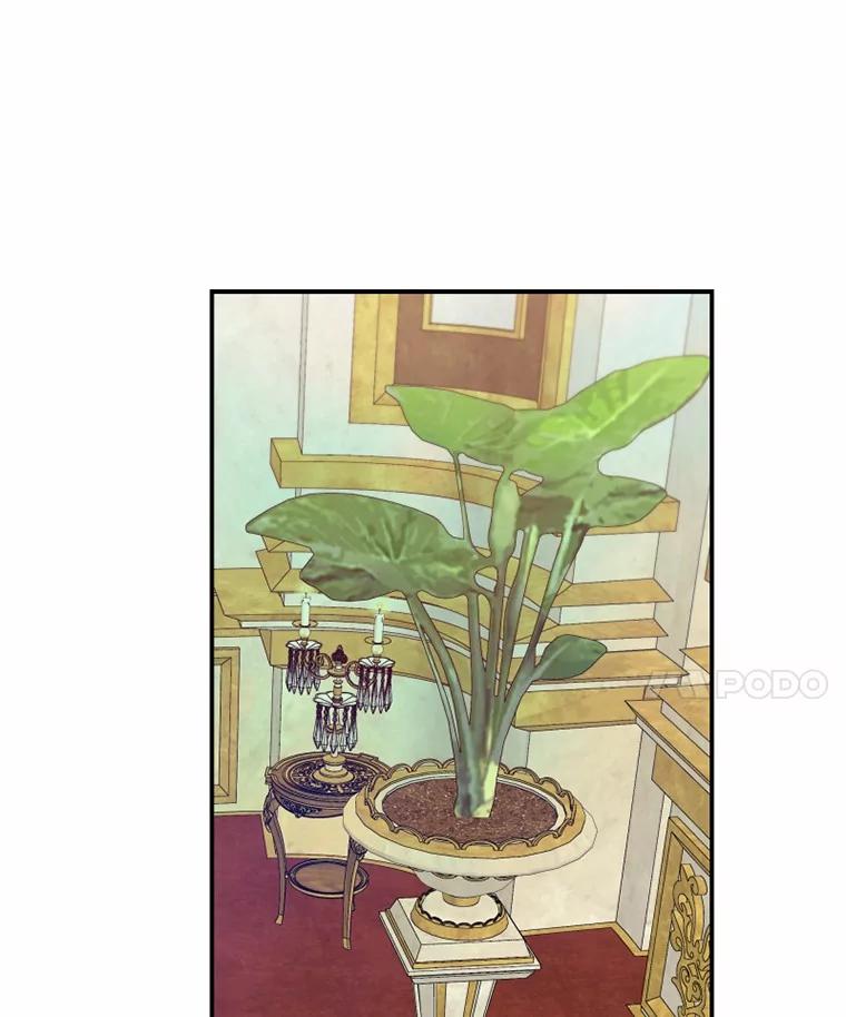 《白痴阿贝拉》40.嫁祸 第66页