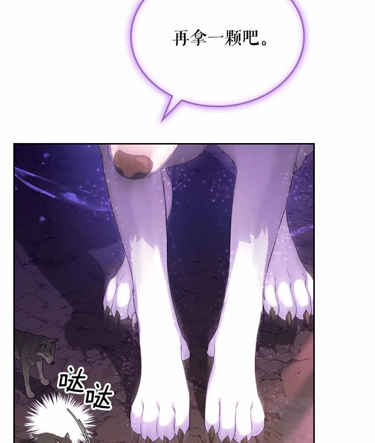 《抢走女主的初恋》51.被选择之人 第51页