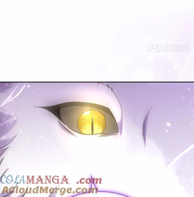 《抢走女主的初恋》51.被选择之人 第61页