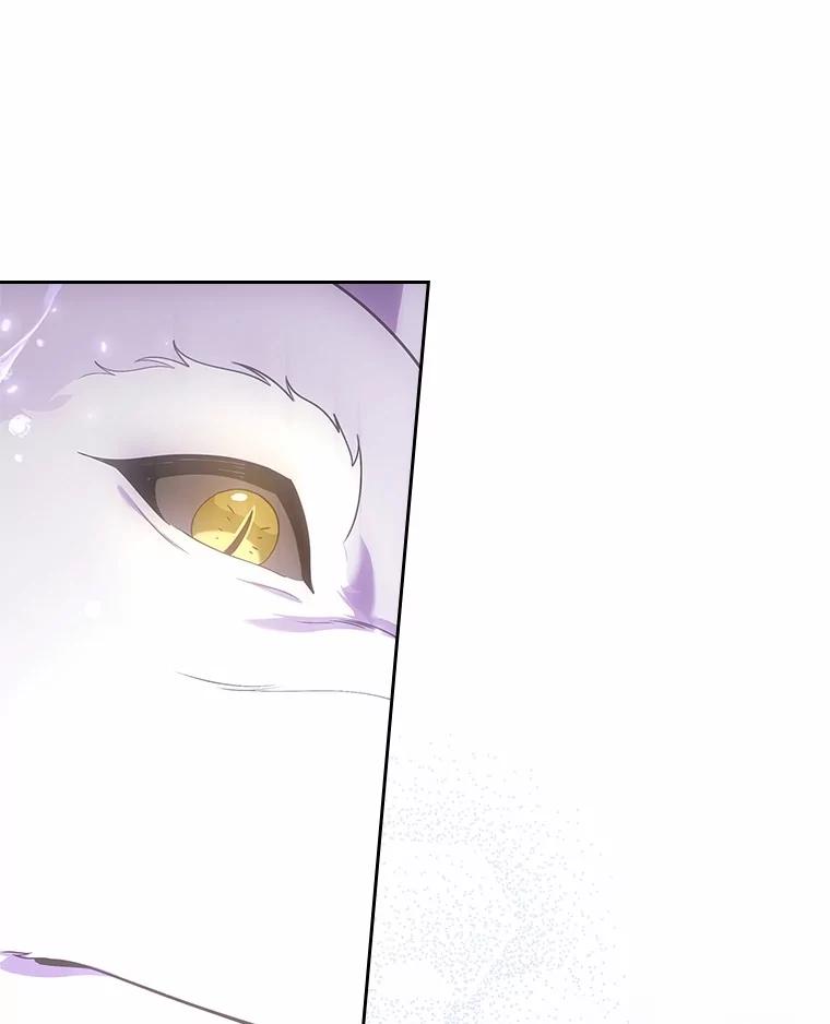 《抢走女主的初恋》51.被选择之人 第64页
