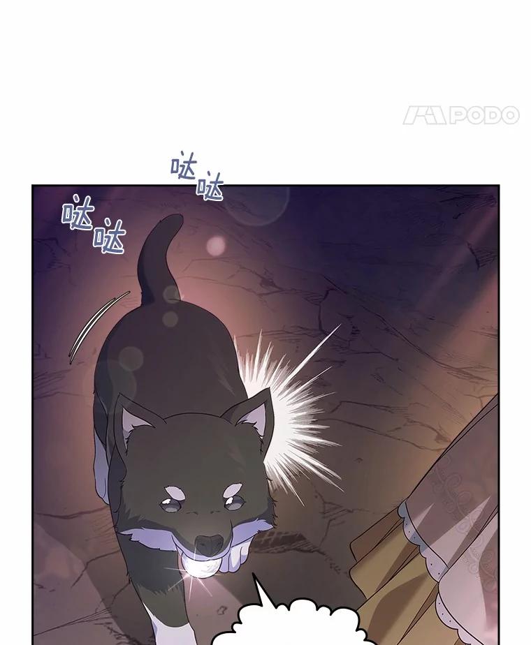 《抢走女主的初恋》51.被选择之人 第54页