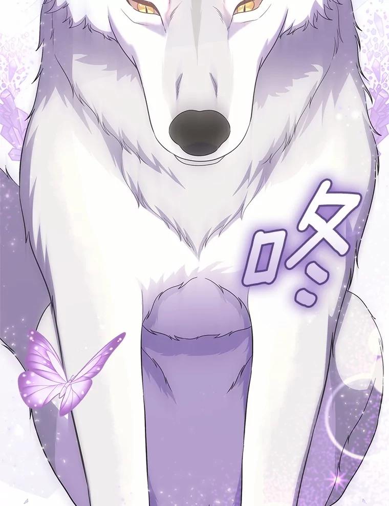 《抢走女主的初恋》51.被选择之人 第27页