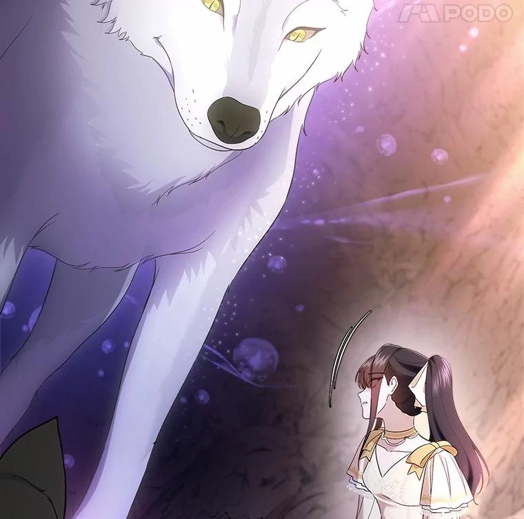 《抢走女主的初恋》51.被选择之人 第76页
