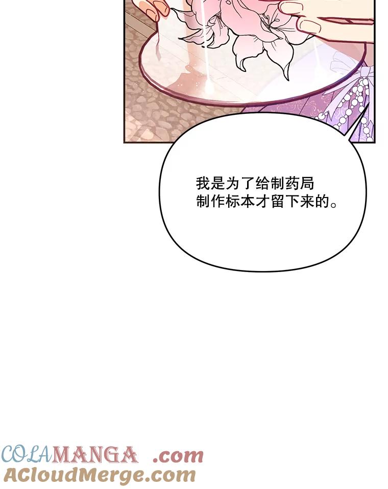 《披荆斩棘的未来》17.雅莉的生日派对 第13页
