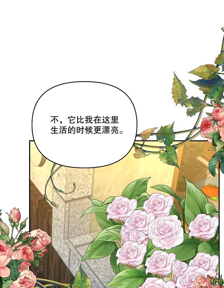 《披荆斩棘的未来》69.重回加农 第64页
