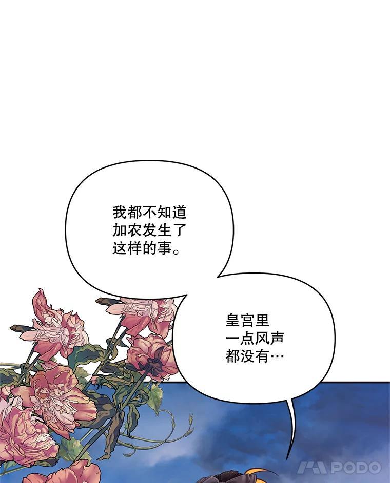 《披荆斩棘的未来》69.重回加农 第38页