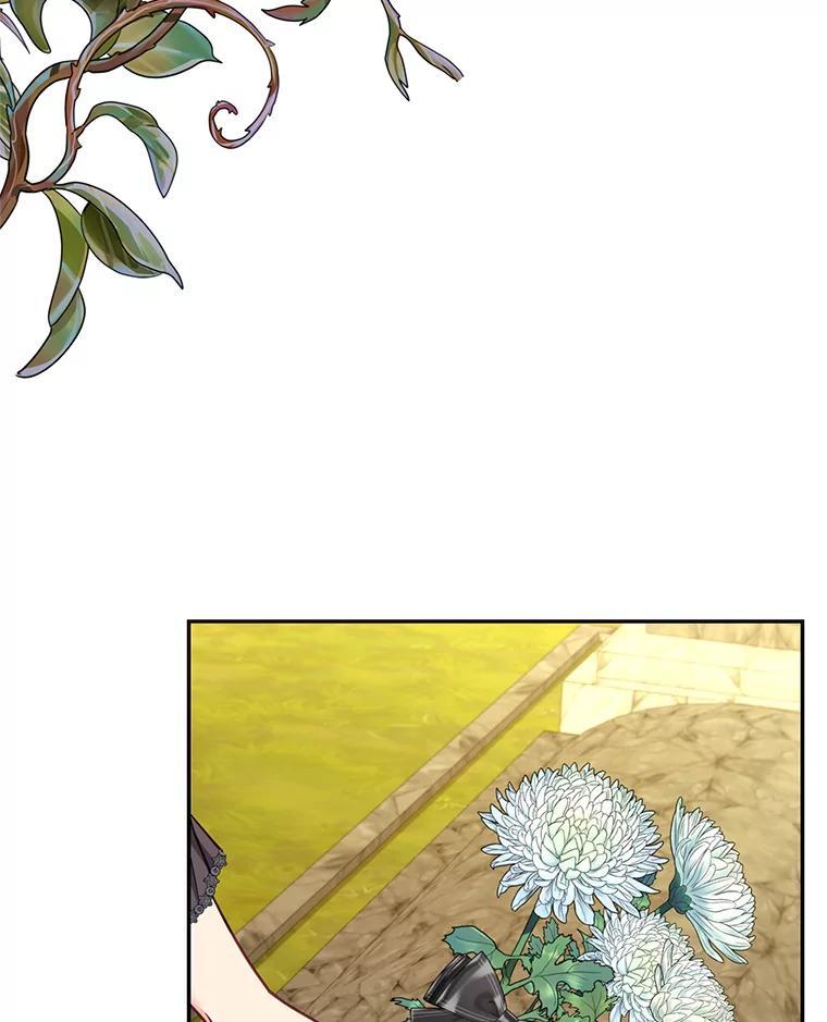《披荆斩棘的未来》69.重回加农 第36页