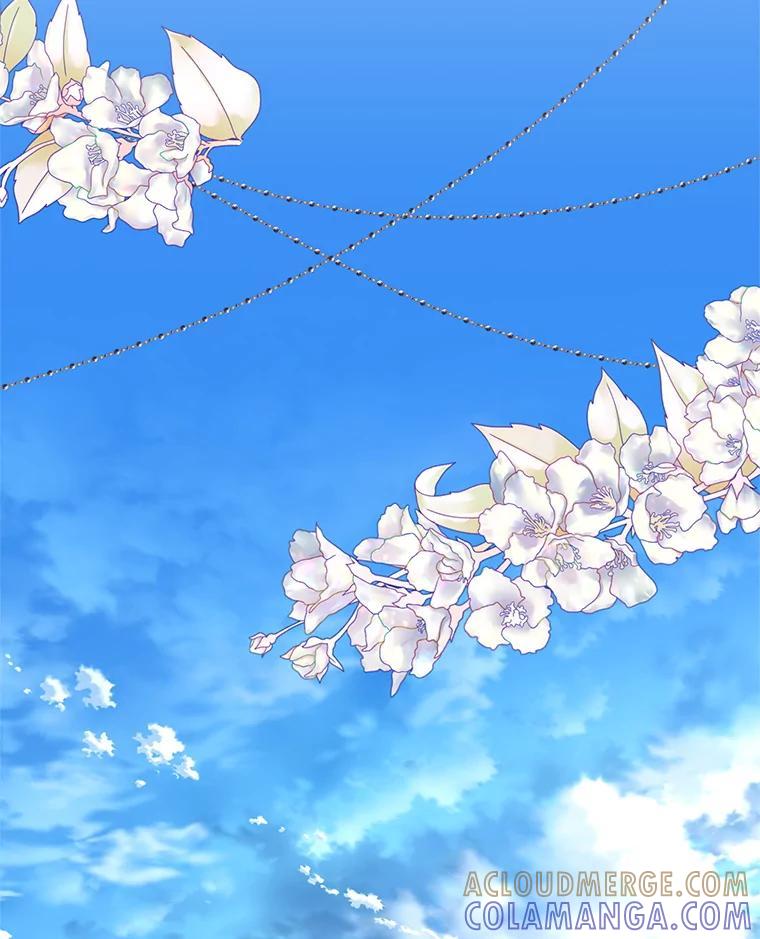 《披荆斩棘的未来》69.重回加农 第33页