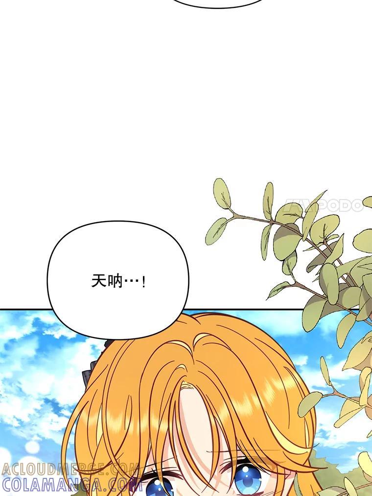 《披荆斩棘的未来》69.重回加农 第81页