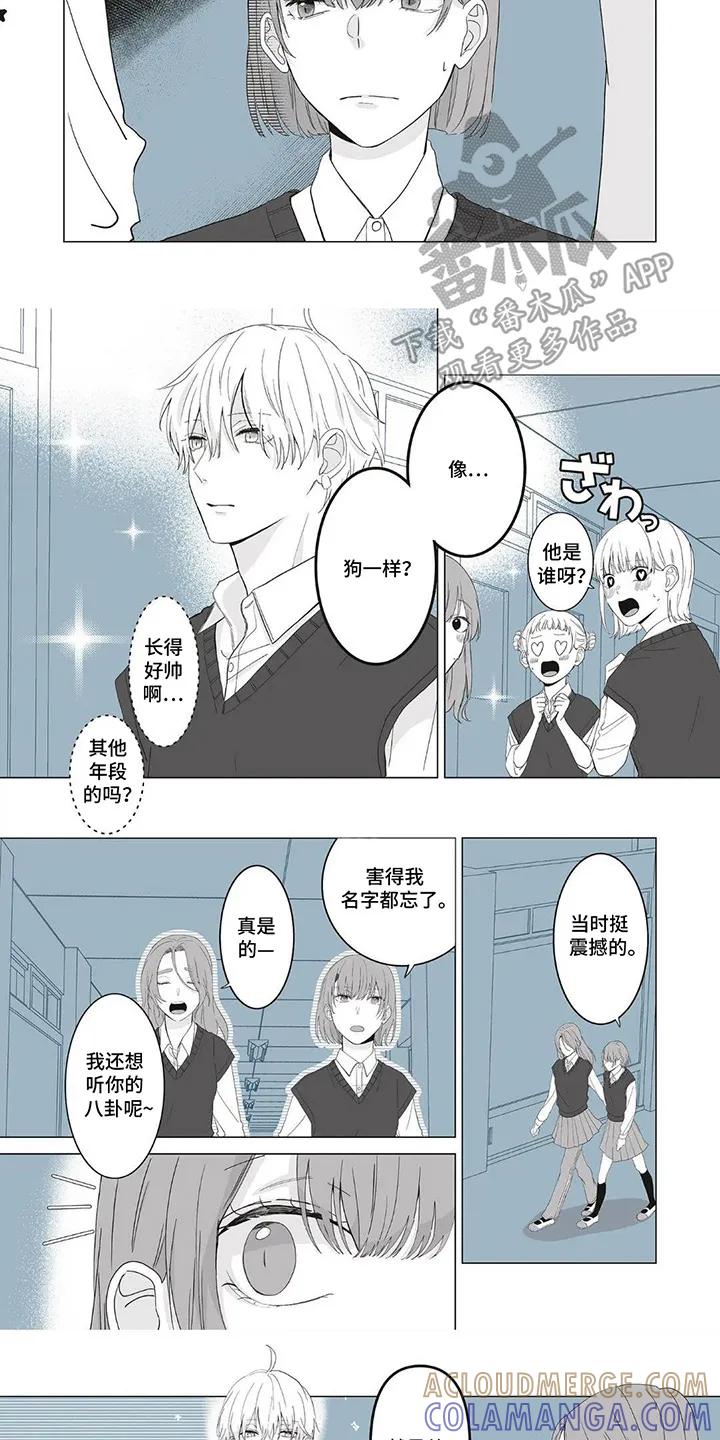 《平静生活拒绝方案》第1章：一定是命运 第5页