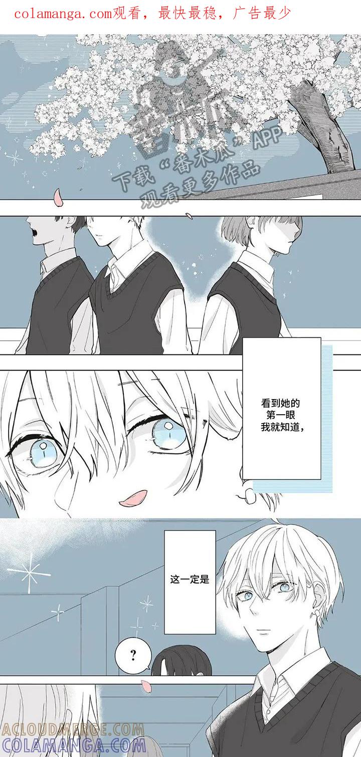 《平静生活拒绝方案》第1章：一定是命运 第1页