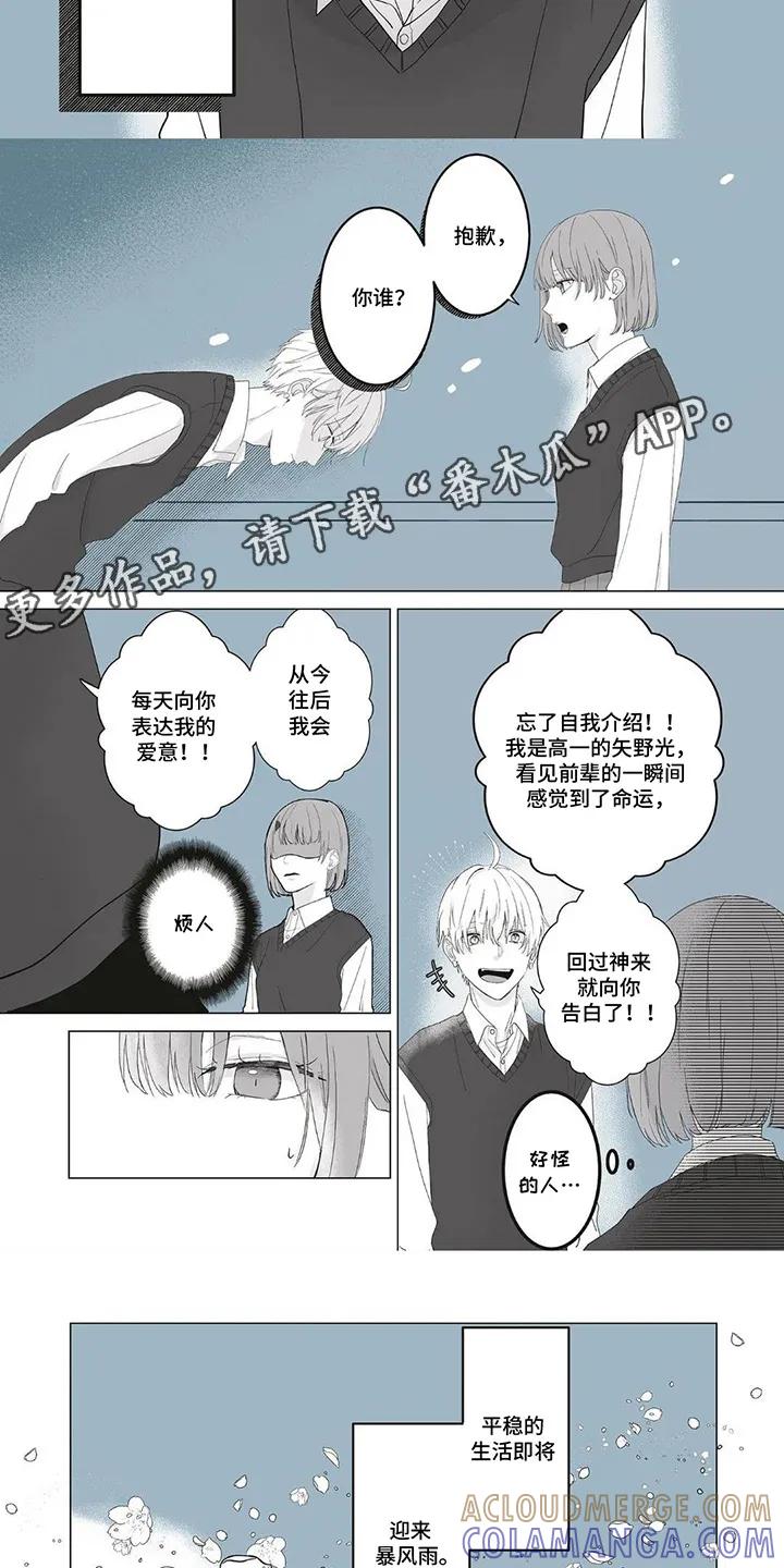 《平静生活拒绝方案》第1章：一定是命运 第3页