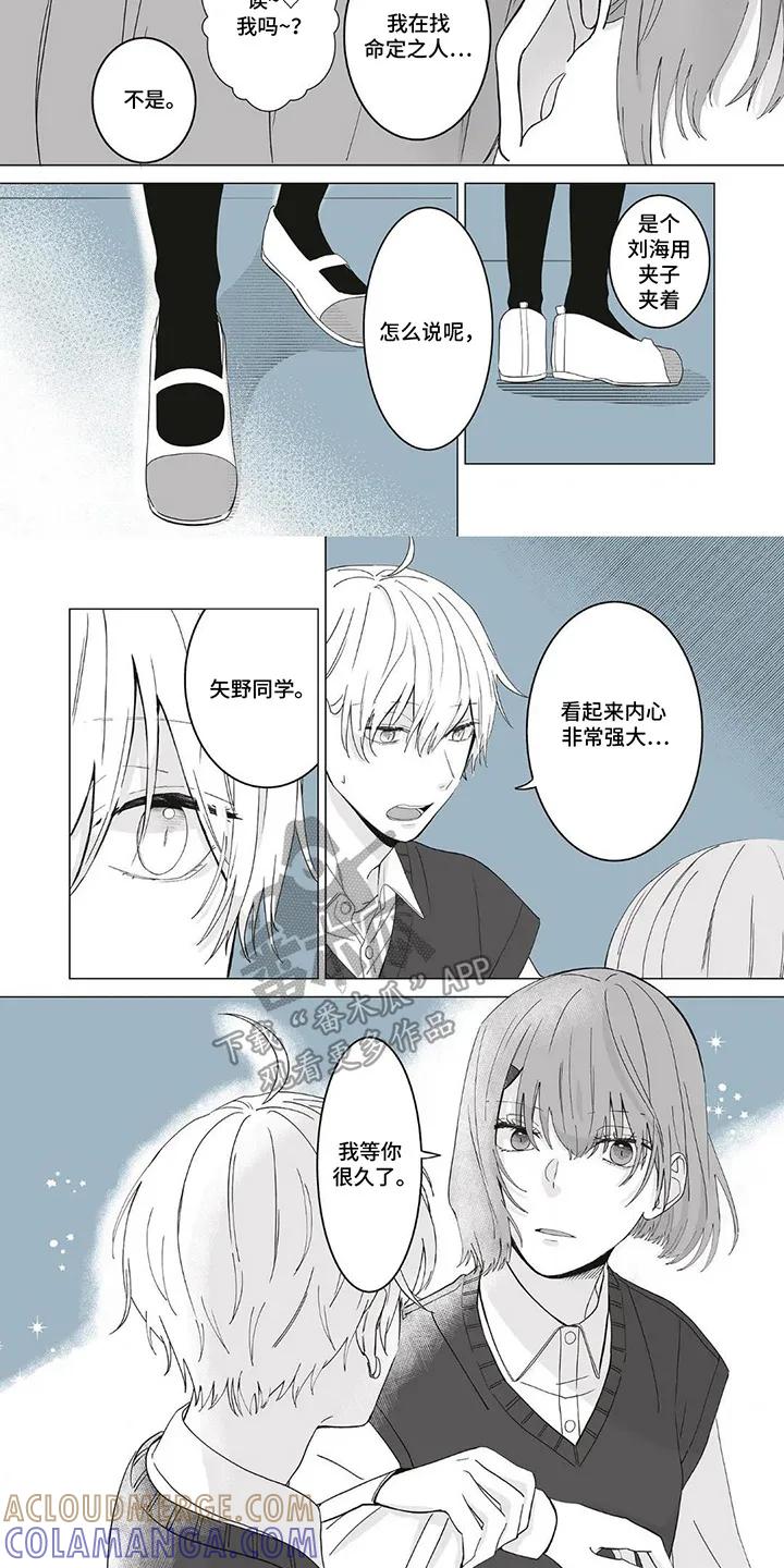 《平静生活拒绝方案》第1章：一定是命运 第7页