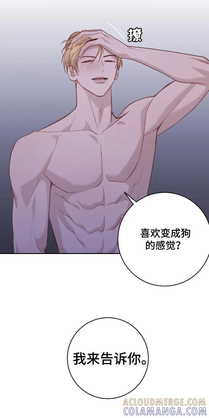 《幻想烛火》第68章：再来一次 第13页