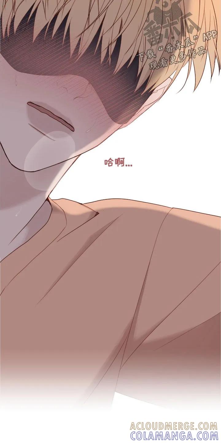 《幻想烛火》第73章：可怜的家伙 第13页