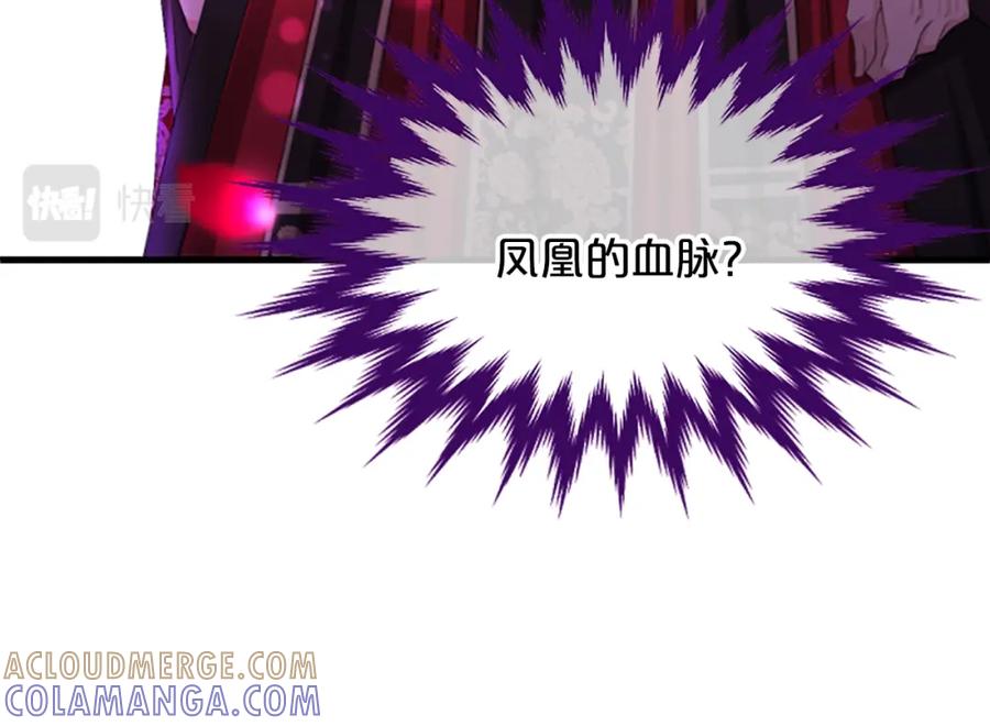 《凤凰血》第16话 凤凰之血 第205页