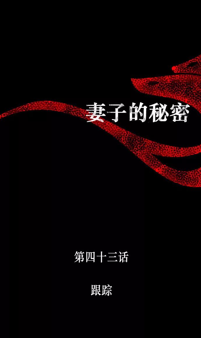 《妻子的秘密》[第43话] 跟踪 第8页