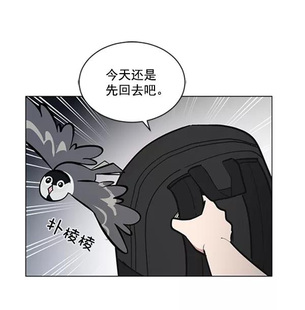 《小麻雀求婚记》第65话 第38页