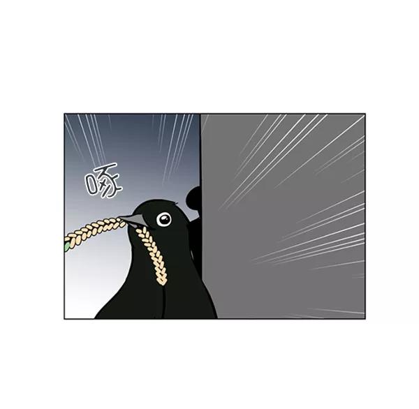 《小麻雀求婚记》第66话 第50页