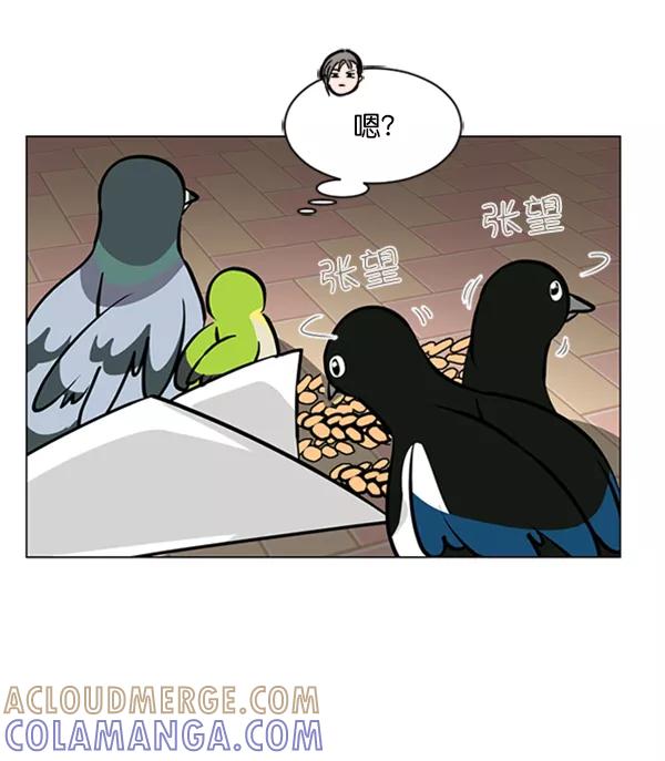 《小麻雀求婚记》第66话 第49页
