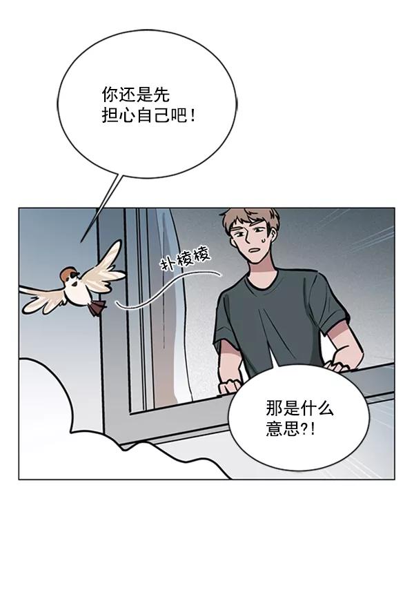《小麻雀求婚记》第66话 第71页